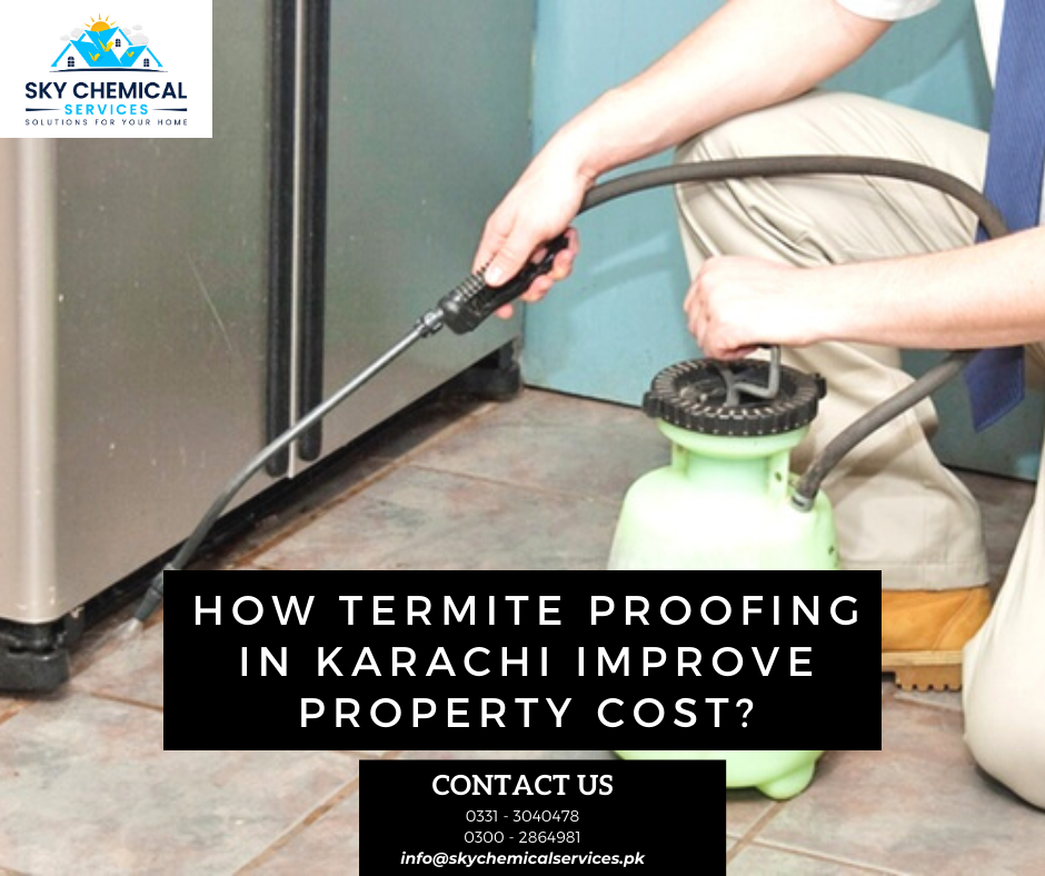 Termite Proofing in Karachi | termite proofing materials names | termite spray in pakistan | anti termite chemical for construction in pakistan | anti termite chemical price in pakistan | sky chemical services