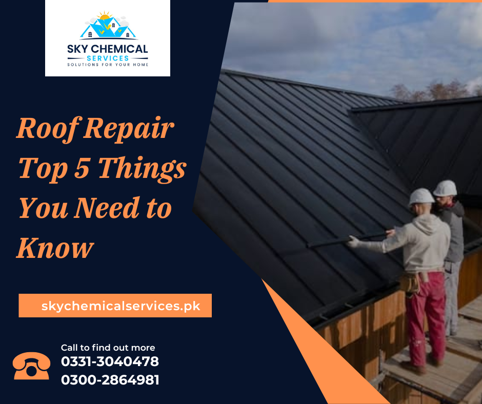leak roof repair