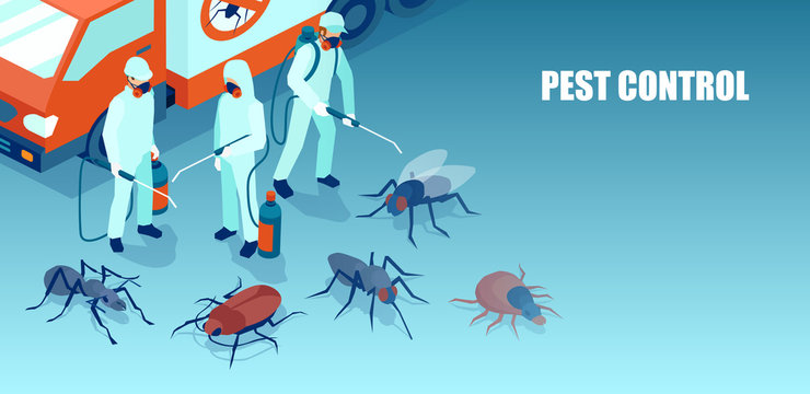 pests control services