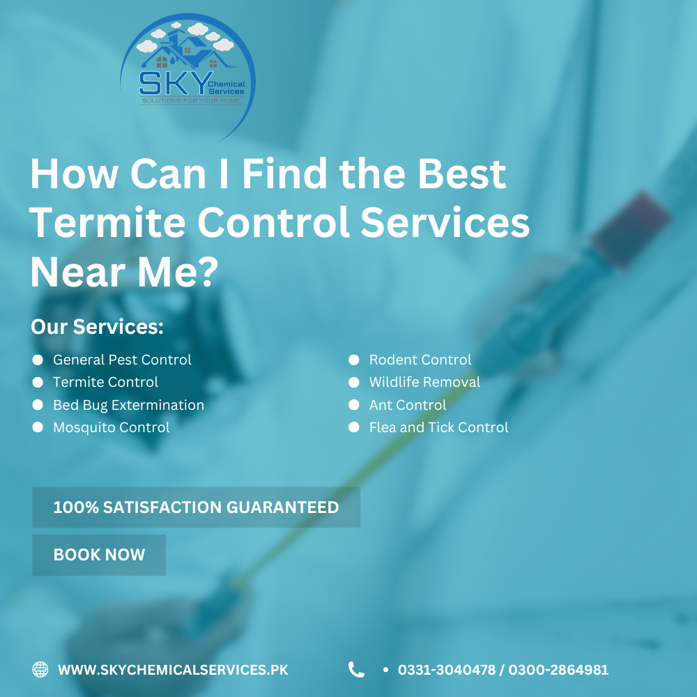 termite control services near me